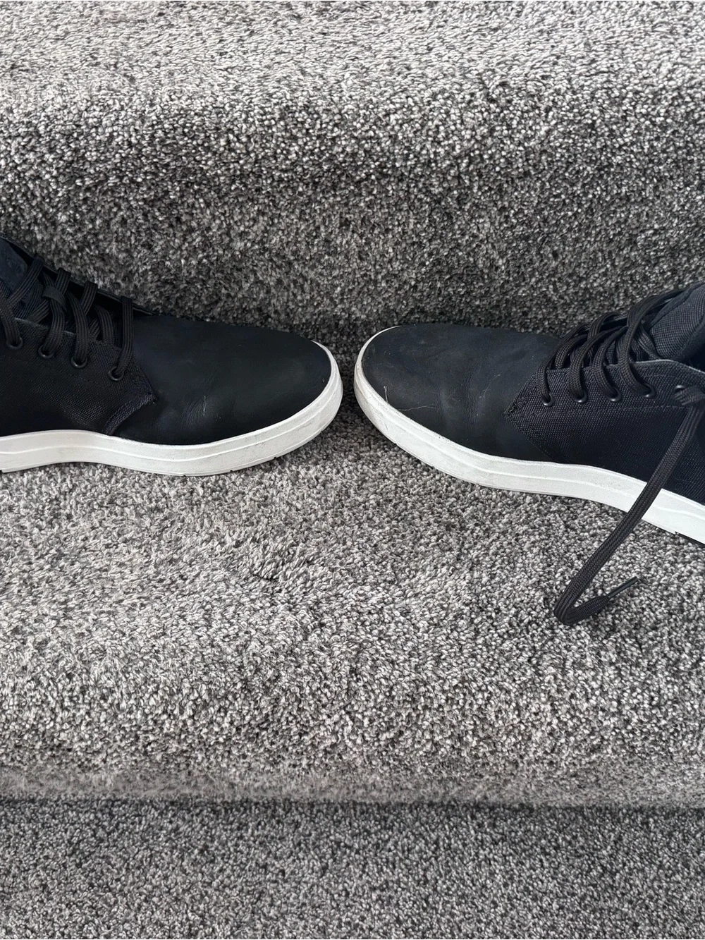 Timberland classic high